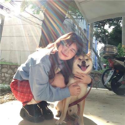 我们窃取秘密维基解密的故事